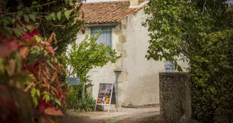 Maison du luthier/Musée Maison du luthier/Musée