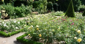 Jardin Wilson Jardin Wilson