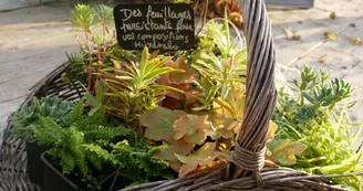 Les Jardins des Hurlevents Les Jardins des Hurlevents
