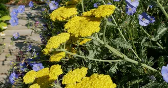 Les Jardins des Hurlevents Les Jardins des Hurlevents