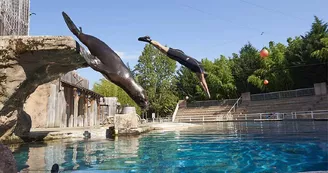 Le PAL - Parc d'attractions et animalier Le PAL - Parc d'attractions et animalier