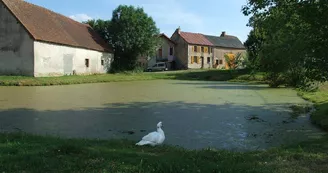 Mare communale du Peux Mare communale du Peux
