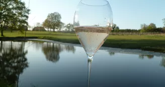 Domaine Grosbot Barbara