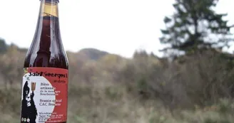 Microbrasserie Microbrasserie
