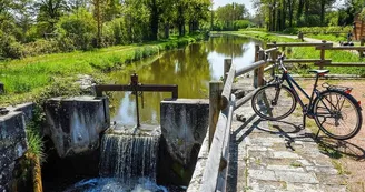 Aux Baboteurs - Location de cycles et excursions accompagnées autour du canal de Berry Aux Baboteurs - Location de cycles et excursions accompagnées autour du canal de Berry
