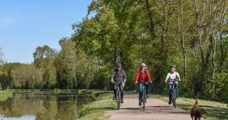 Aux Baboteurs - Location de cycles et excursions accompagnées autour du canal de Berry Aux Baboteurs - Location de cycles et excursions accompagnées autour du canal de Berry