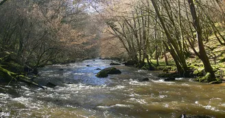 Espace Naturel Sensible de la Haute Vallée du Cher Espace Naturel Sensible de la Haute Vallée du Cher