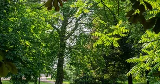 Parc Kennedy Parc Kennedy