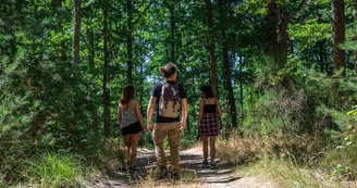 Forêt de Montpensier Forêt de Montpensier