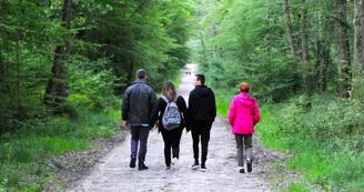 Forêt de Montpensier Forêt de Montpensier