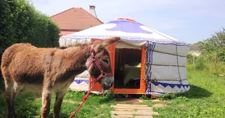 Yourte mongole