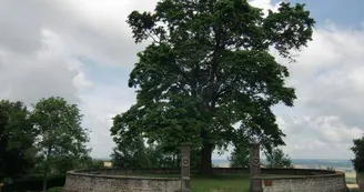 Belvédère de Charroux Belvédère de Charroux