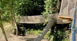 Pont suspendu - Plaisir des Cimes Pont suspendu - Plaisir des Cimes