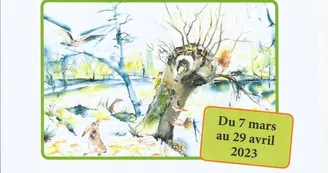 Exposition : La trogne : l'arbre cultivé