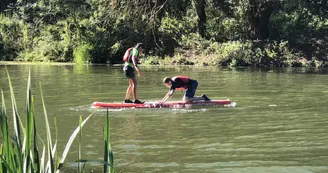 Paddle TCK Paddle TCK