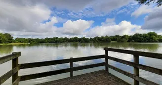 aire-de-pique-nique-etang de la croix verte-sev-saint macaire en mauges-osez-mauges-©A.R (34) aire-de-pique-nique-etang de la croix verte-sev-saint macaire en mauges-osez-mauges-©A.R (34)