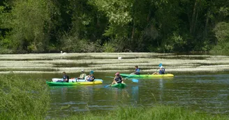 location-canoe-kayak-montjean-sur-loire-mauges-sur-loire-49 location-canoe-kayak-montjean-sur-loire-mauges-sur-loire-49