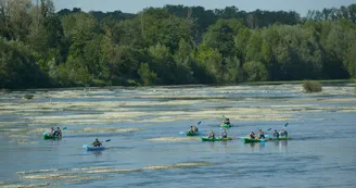 location-canoe-kayak-montjean-sur-loire-mauges-sur-loire-49 location-canoe-kayak-montjean-sur-loire-mauges-sur-loire-49