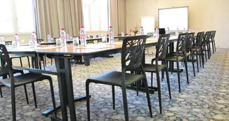 Hôtel du Parc - salle de séminaire_5 Hôtel du Parc - salle de séminaire_5