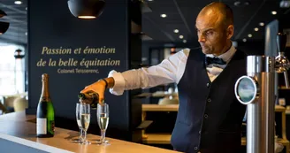 Hôtel Mercure Bords de Loire - Espace bar_5 Hôtel Mercure Bords de Loire - Espace bar_5