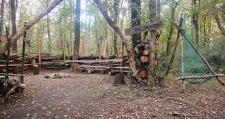 Le canapé forestier - lieu d'éducation à l'environnement_16 Le canapé forestier - lieu d'éducation à l'environnement_16