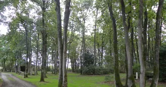 Camping Le BoisMadame - Camping Le Bois Madame_17 Camping Le BoisMadame - Camping Le Bois Madame_17