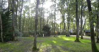 Camping Le Bois Madame - Camping Le Bois Madame_18 Camping Le Bois Madame - Camping Le Bois Madame_18