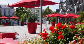 place-travot-cholet-49_2