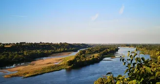 Île Neuve vue depuis panorama du Champalud, Champtoceaux Île Neuve vue depuis panorama du Champalud, Champtoceaux