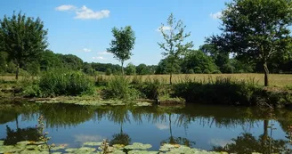 riviere-nature-st-crespin-sur-moine-anjou-nantes-cholet-osezmauges riviere-nature-st-crespin-sur-moine-anjou-nantes-cholet-osezmauges