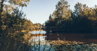 Étang de la Foucaudière Étang de la Foucaudière