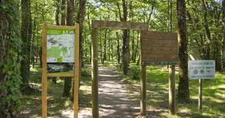 OREE D'ANJOU_Foret_Foucaudière_St Laurent-®B Briand ICI 027 OREE D'ANJOU_Foret_Foucaudière_St Laurent-®B Briand ICI 027