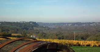 drain-vignoble-route-touristique-galloires (2) drain-vignoble-route-touristique-galloires (2)