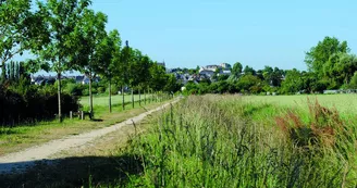 FMA49-beaufort-en-anjou-regard_commune FMA49-beaufort-en-anjou-regard_commune
