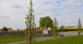 arboretum-saint-philbert-mauges-angers-nantes-anjou-osezmauges arboretum-saint-philbert-mauges-angers-nantes-anjou-osezmauges