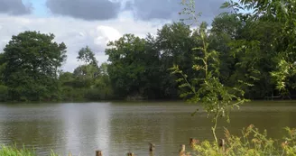 aire-naturelle-etang-theviniere-geste-angers-nantes-anjou-osezmauges aire-naturelle-etang-theviniere-geste-angers-nantes-anjou-osezmauges