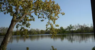 aire-naturelle-theviniere-geste-angers-nantes-anjou-osezmauges aire-naturelle-theviniere-geste-angers-nantes-anjou-osezmauges
