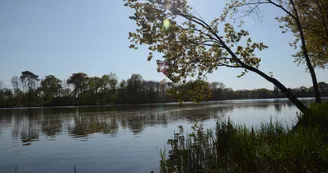 aire-naturelle-theviniere-geste-angers-nantes-anjou-osezmauges aire-naturelle-theviniere-geste-angers-nantes-anjou-osezmauges