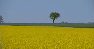 _JAM7653 _JAM7653