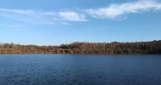 Etang et boisements de Joreau Etang et boisements de Joreau