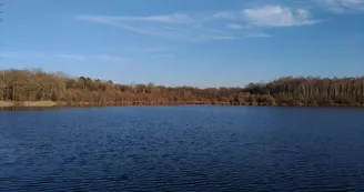 Etang et boisements de Joreau Etang et boisements de Joreau