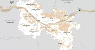 Carte Carte