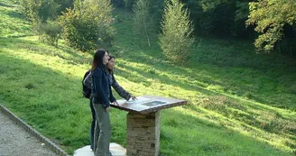 Livre sur légende de la coulée de la Luce, Champtoceaux Livre sur légende de la coulée de la Luce, Champtoceaux