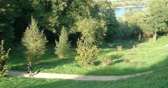 Coulée de la Luce avec vue sur la Loire, Champtoceaux Coulée de la Luce avec vue sur la Loire, Champtoceaux
