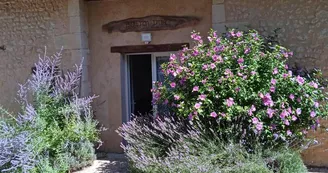 Gîte Bouton d'Or - 10 pers