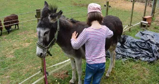Un regard, une caresse, un sourire - Mini-ferme découverte Un regard, une caresse, un sourire - Mini-ferme découverte