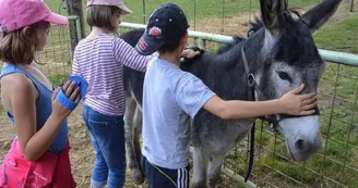 Un regard, une caresse, un sourire - Mini-ferme découverte Un regard, une caresse, un sourire - Mini-ferme découverte