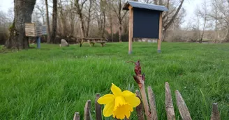 Coco des Bois