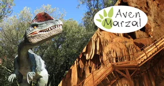 Aven Marzal : Grotte