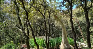 Aven Marzal : Grotte